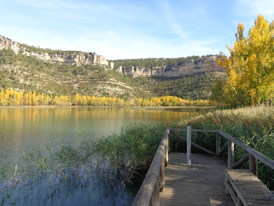 foto tragacete_1_01.jpg