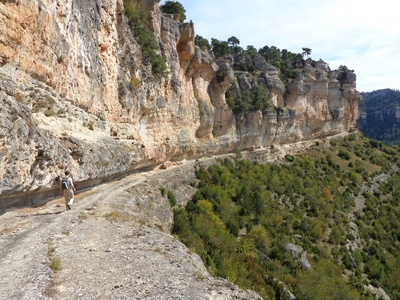 foto tragacete_1_05.jpg