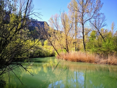 foto tragacete_3_03.jpg